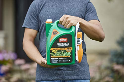 Weed Killer for Northern Lawns, Ready to Use, 1.33 gal Y780099