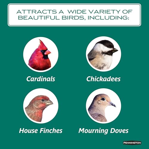 Wild Bird Seed for Outside Feeders, High-Protein, No-Waste, 15-lb Bag F570741