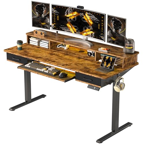 Electric Standing Desk with 2 Drawers, Height Adjustable for Home Office B137
