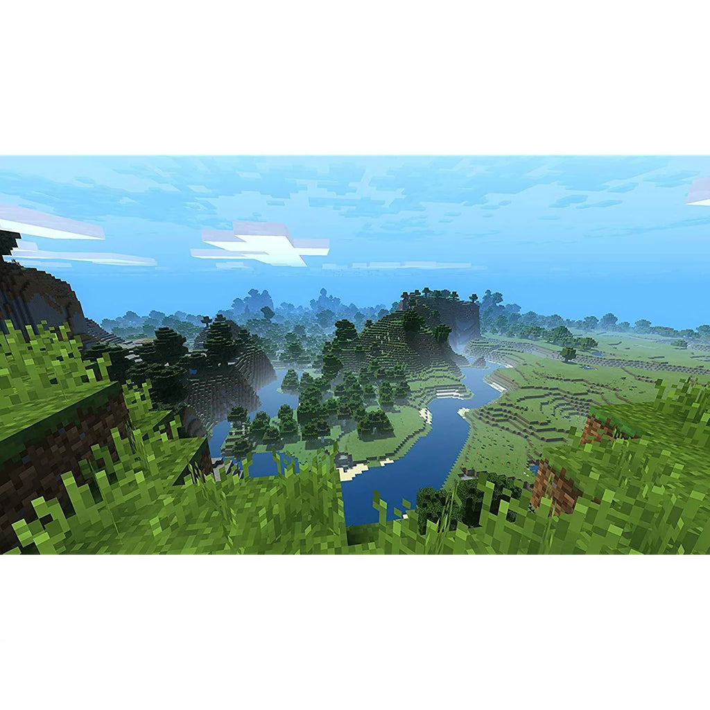 Minecraft with Super Mario Mash-up - Nintendo Switch F895022