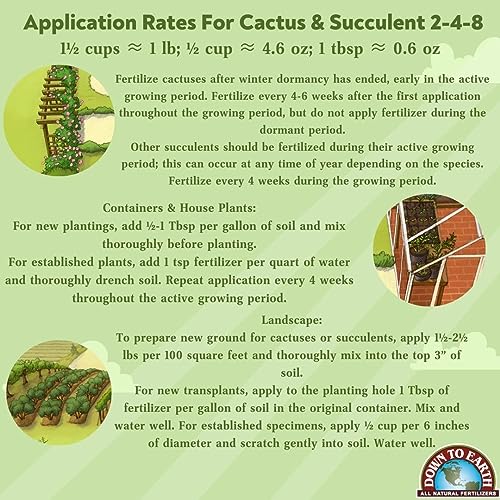 Cactus & Succulent Fertilizer 2-4-8 Mini Box, 1 Pound L6523
