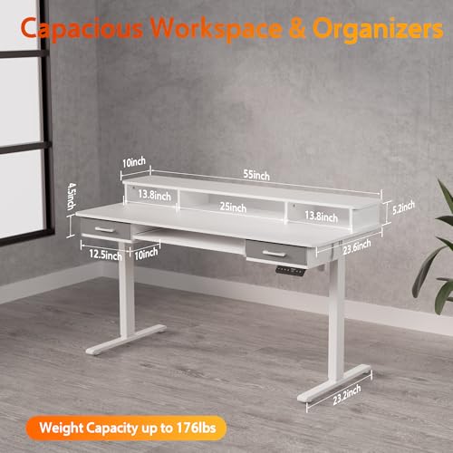 Electric Standing Desk with 2 Drawers, Height Adjustable for Home Office B137