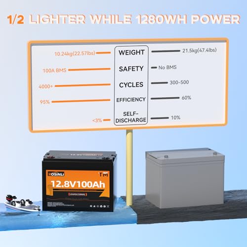 12V 100Ah Group 24 LiFePO4 Battery with 100A BMS, Deep Cycle for RV, Marine, Solar L361