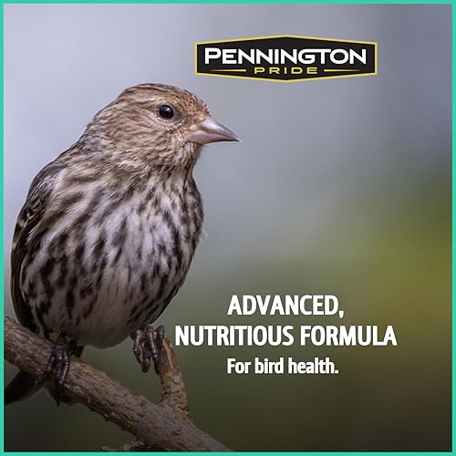Wild Bird Seed for Outside Feeders, High-Protein, No-Waste, 15-lb Bag F570741