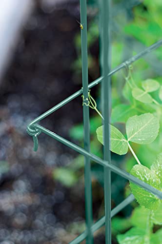 Expandable Pea Trellis for Climbing Plants, Powder-Coated Steel, 9'3" L x 64" H S6258