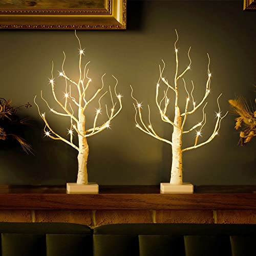 Lighted Birch Tree, 4ft 48LED, Indoor Outdoor Artificial Twig Tree with Timer R4725