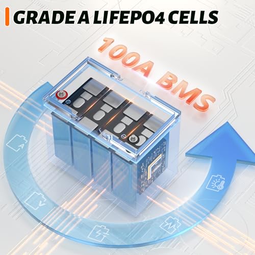 12V 100Ah Group 24 LiFePO4 Battery with 100A BMS, Deep Cycle for RV, Marine, Solar L361