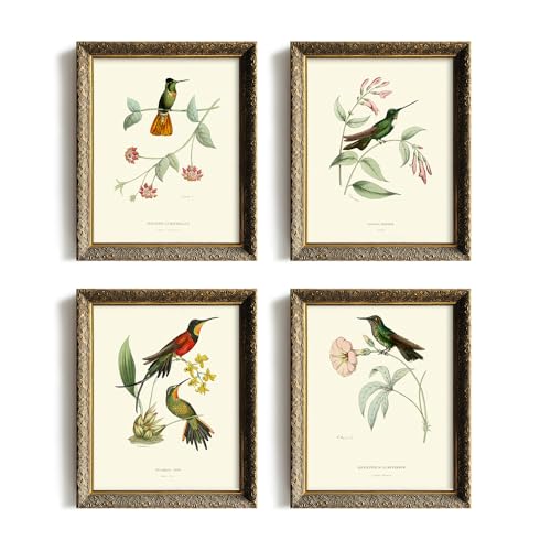 Hummingbird Botanical Flower Wall Art Poster W529066