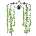 9.5FT Birdcage Shape Garden Arch, Kalolary Pergola Plant Climbing Trellis Arbor Heavy Duty Wedding Arbor Metal Gazebo Garden Arch for Outdoor Arbor Climbing Plants Backyard Patio Wedding Ceremony