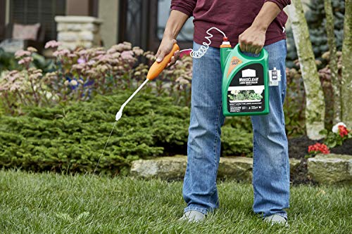 Weed Killer for Northern Lawns, Ready to Use, 1.33 gal Y780099