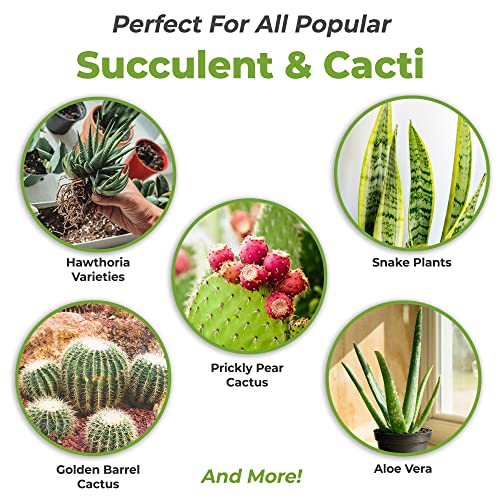 Succulent and Cactus Fertilizer, 5oz Bag for Live Plants R747097