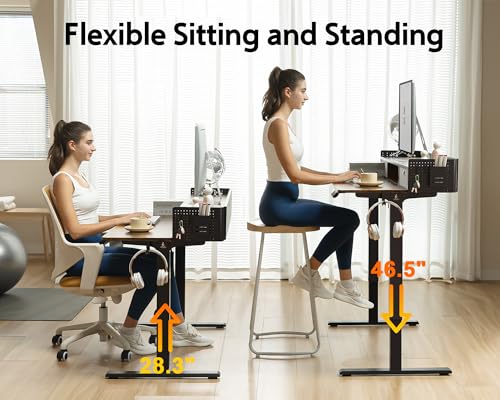 Electric Standing Desk with 2 Drawers, Height Adjustable for Home Office B137