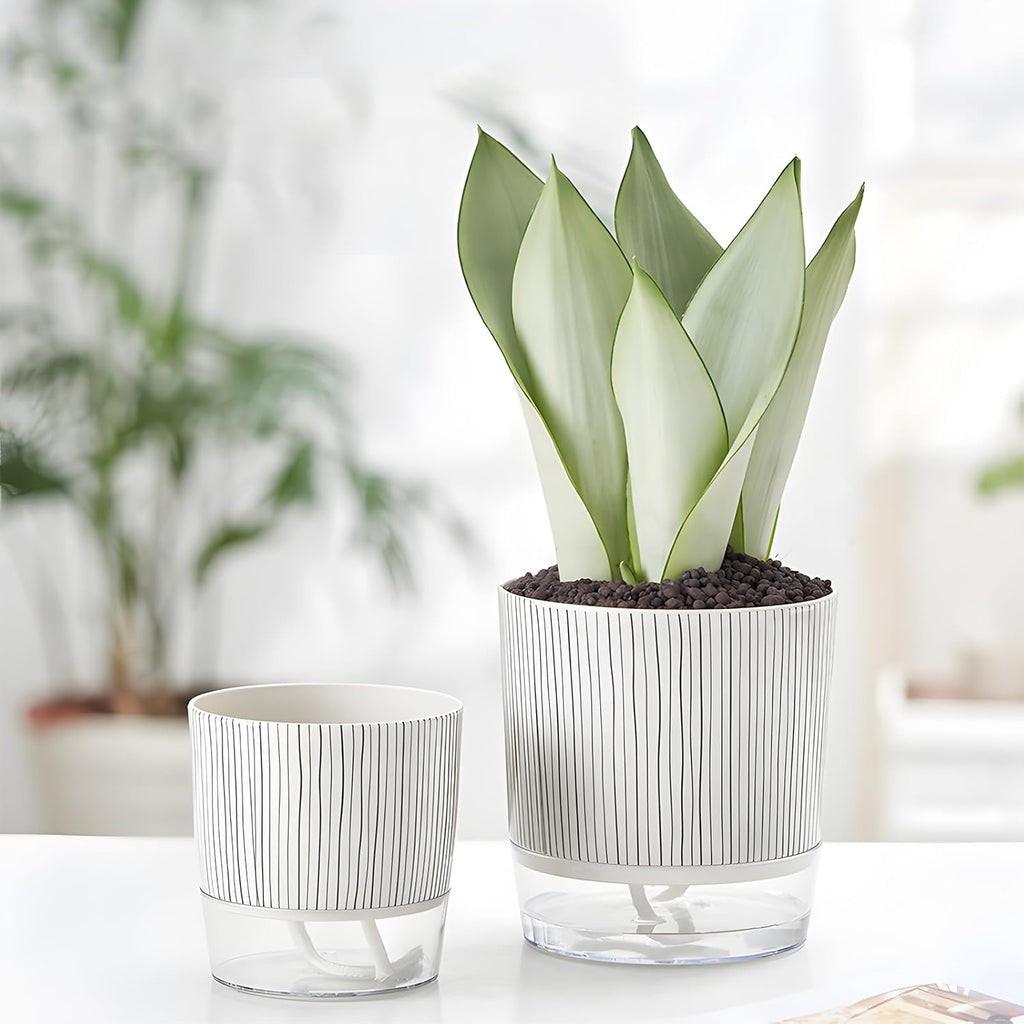 Self-Watering Pots for Indoor Plants with Wick Rope and Reservoir F680303