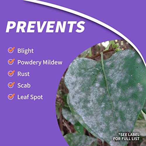 Systemic Disease Control for Plants, 16 oz Concentrate O309