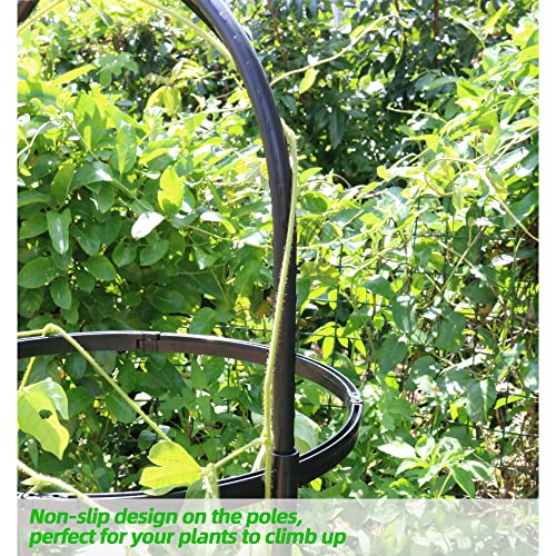 Garden Trellis for Climbing Plants, Rustproof Metal Pipe, 6ft, Indoor Outdoor Plant Support Z650