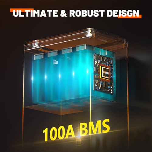 12V 100Ah Group 24 LiFePO4 Battery with 100A BMS, Deep Cycle for RV, Marine, Solar L361