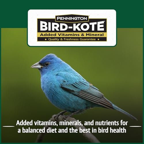 Wild Bird Seed for Outside Feeders, High-Protein, No-Waste, 15-lb Bag F570741
