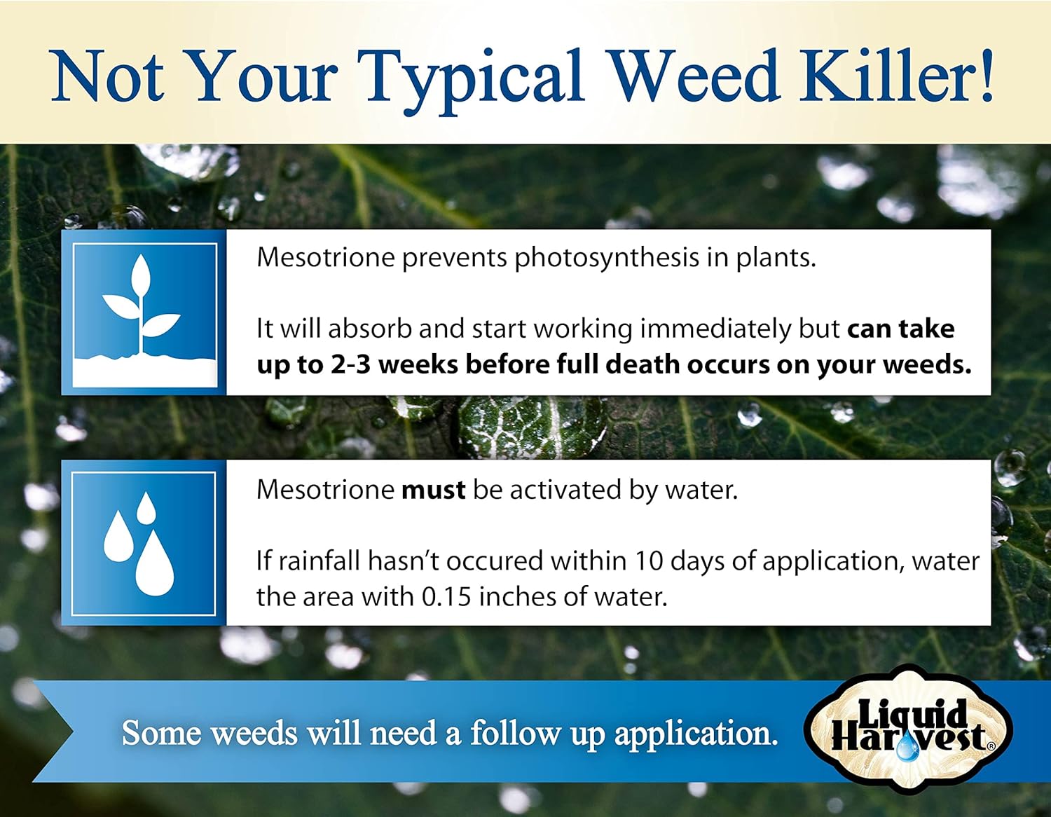 Turf Herbicide I2705