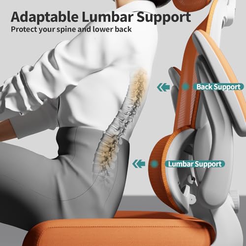 Ergonomic Mesh Office Chair with Wheels, High Back, 330 LBS Capacity C667113