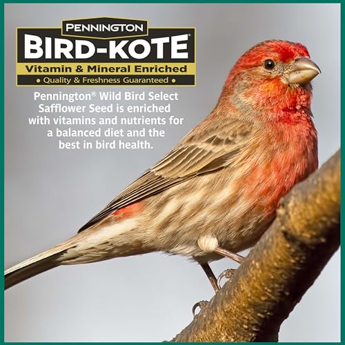 Wild Bird Seed for Outside Feeders, High-Protein, No-Waste, 15-lb Bag F570741