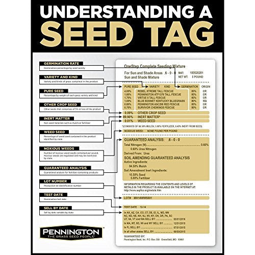 Annual Ryegrass for Overseeding Warm Season Lawns, 10 lb Y82382