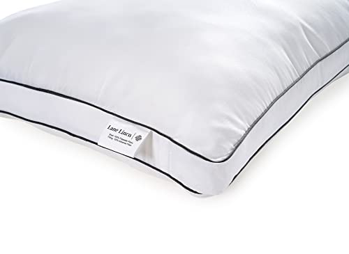 Bed Pillows King Size Set of 2 - Soft Gusseted Pillow for Sleepers - Down Alternative - White N2389