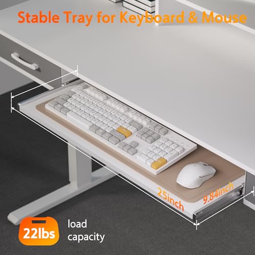 Electric Standing Desk with 2 Drawers, Height Adjustable for Home Office B137