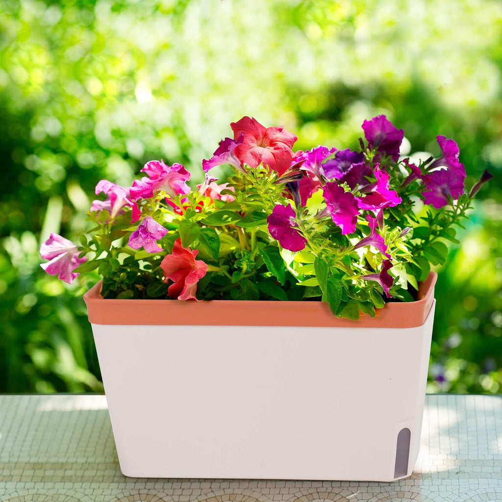 Window Herb Planter Box, Self-Watering, Set of 3 V9641