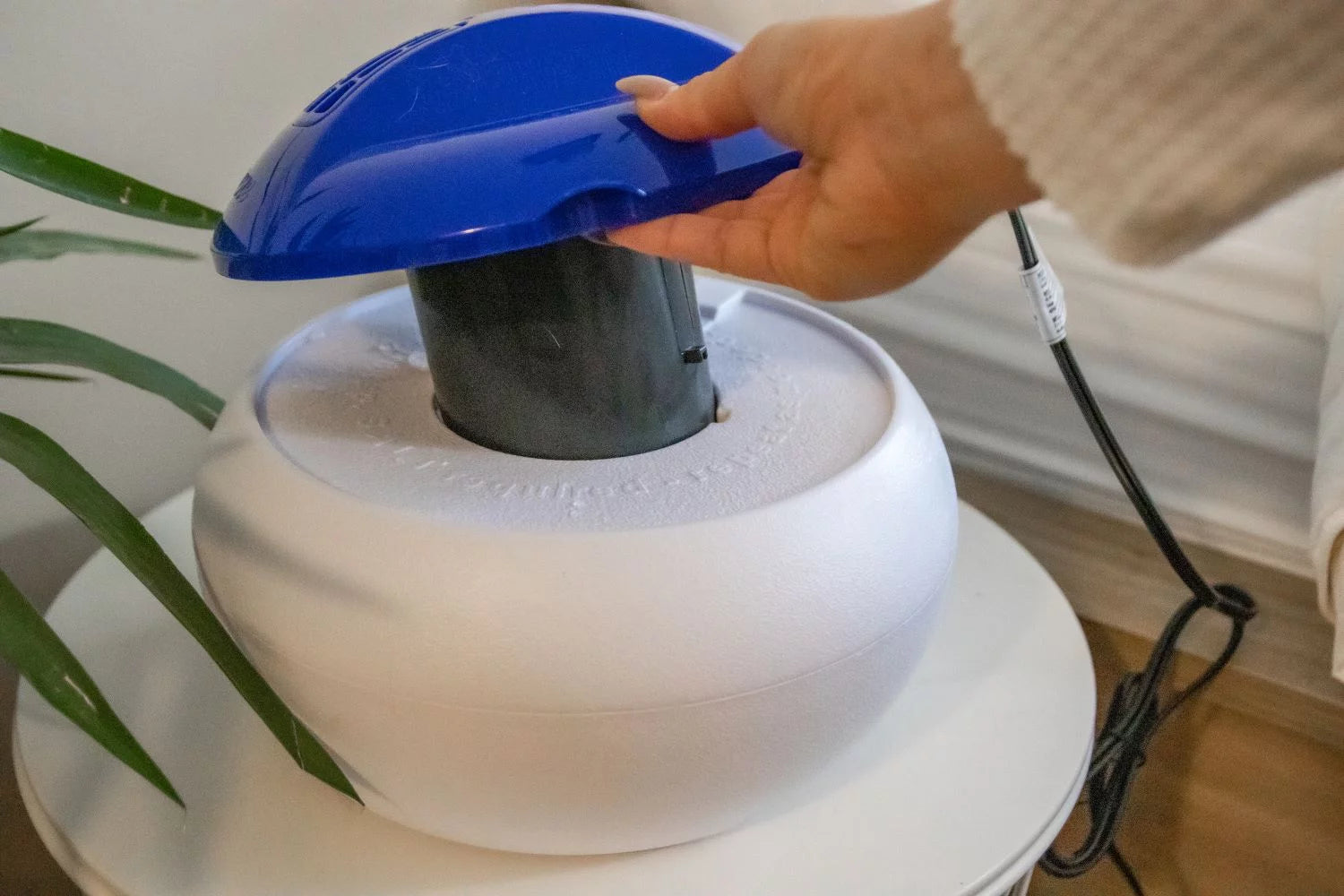 Warm Steam Vaporizer - Blue R471224
