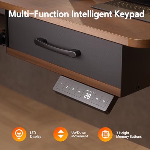 Electric Standing Desk with 2 Drawers, Height Adjustable for Home Office B137