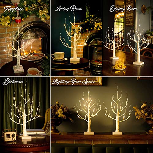 Lighted Birch Tree, 4ft 48LED, Indoor Outdoor Artificial Twig Tree with Timer R4725