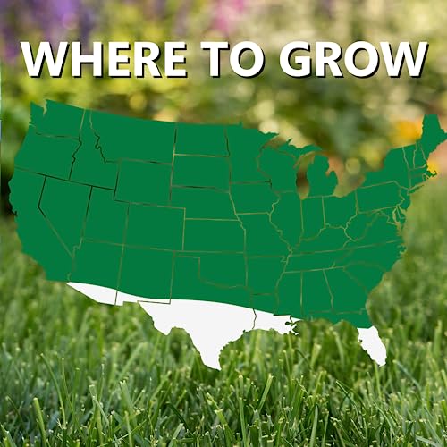 Perennial Ryegrass Grass Seed for Cool Season Lawns, 3 lb G895