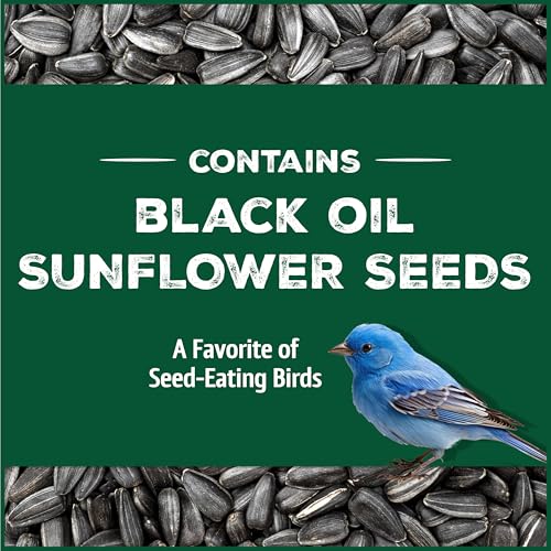 Wild Bird Seed for Outside Feeders, High-Protein, No-Waste, 15-lb Bag F570741