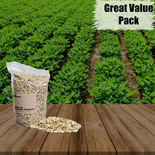 Wildlife Shelled Peanuts, 10 lbs for Birds and Squirrels Y354