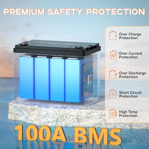 12V 100Ah Group 24 LiFePO4 Battery with 100A BMS, Deep Cycle for RV, Marine, Solar L361