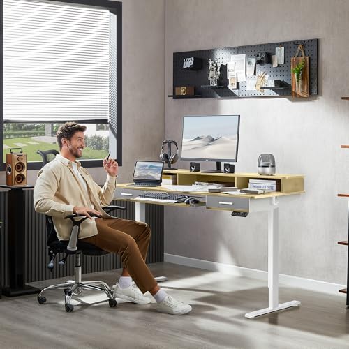 Electric Standing Desk with 2 Drawers, Height Adjustable for Home Office B137