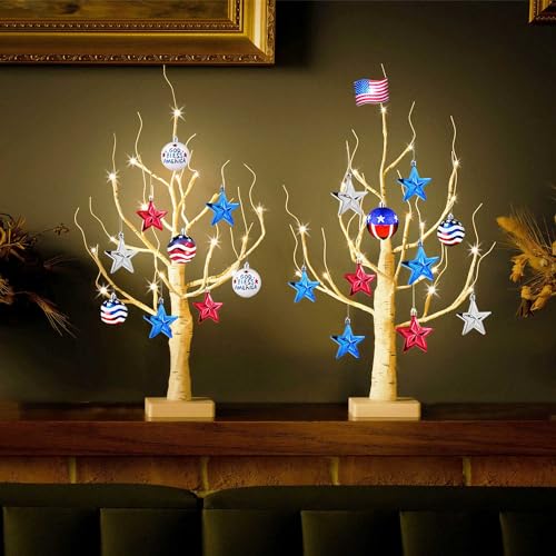 Lighted Birch Tree, 4ft 48LED, Indoor Outdoor Artificial Twig Tree with Timer R4725