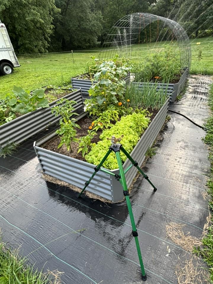 Galvanized Raised Garden Bed Oval Metal Planter Box for Vegetables Flowers A9593