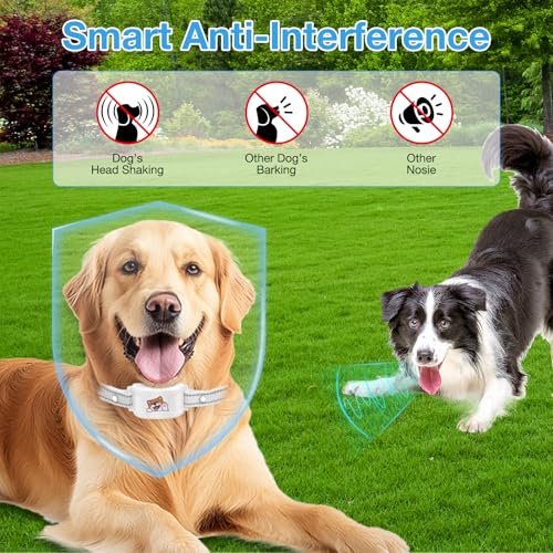 Wireless GPS Dog Fence & Training Collar, Waterproof Rechargeable, App Customizable T36438