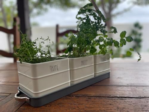Herb Pot Planter Set with Tray for Indoor or Outdoor Use, White Metal Q3093