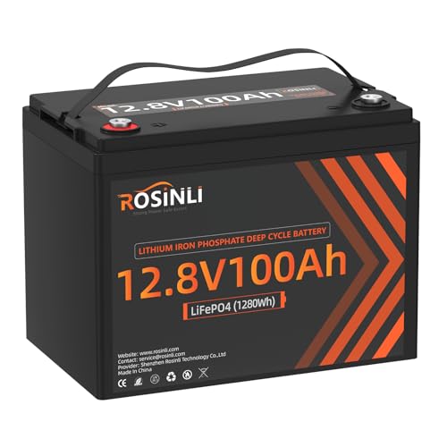 12V 100Ah Group 24 LiFePO4 Battery with 100A BMS, Deep Cycle for RV, Marine, Solar L361