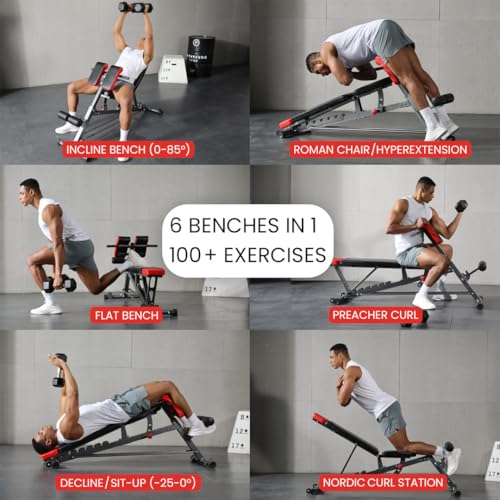 Multi-Functional Weight Bench for Full Body Workout G233