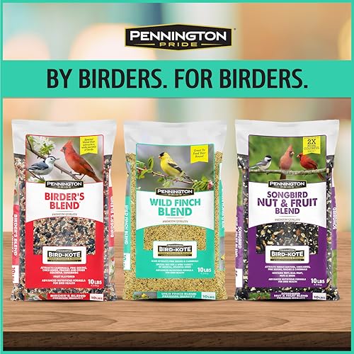 Wild Bird Seed for Outside Feeders, High-Protein, No-Waste, 15-lb Bag F570741