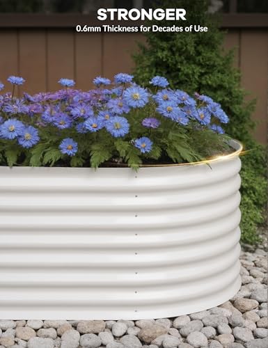 Galvanized Raised Garden Bed for Vegetables, Flowers, Outdoor D165