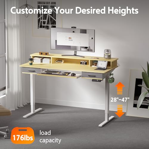 Electric Standing Desk with 2 Drawers, Height Adjustable for Home Office B137