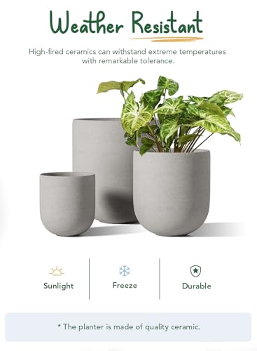 Ceramic Plant Pots with Drainage Hole, Set of 3, White B823