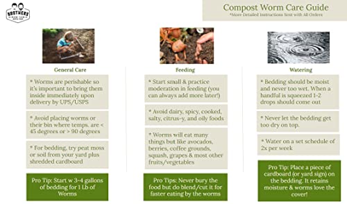 1/2 lb (~500) Red Wiggler Compost Worms for Home Composting and Gardens T98163