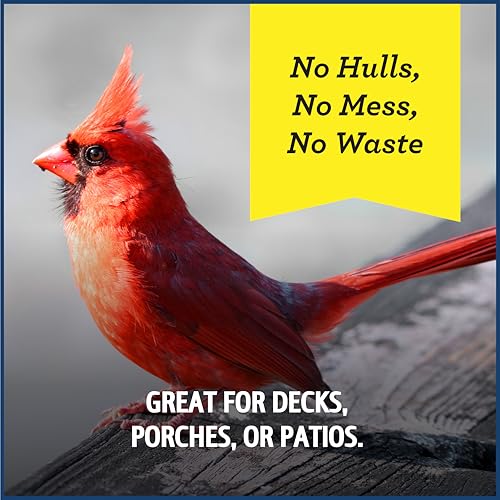 Wild Bird Seed for Outside Feeders, High-Protein, No-Waste, 15-lb Bag F570741