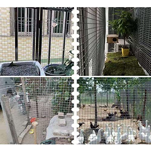 Galvanized Chicken Wire Mesh for Gardening and Poultry Fence I315
