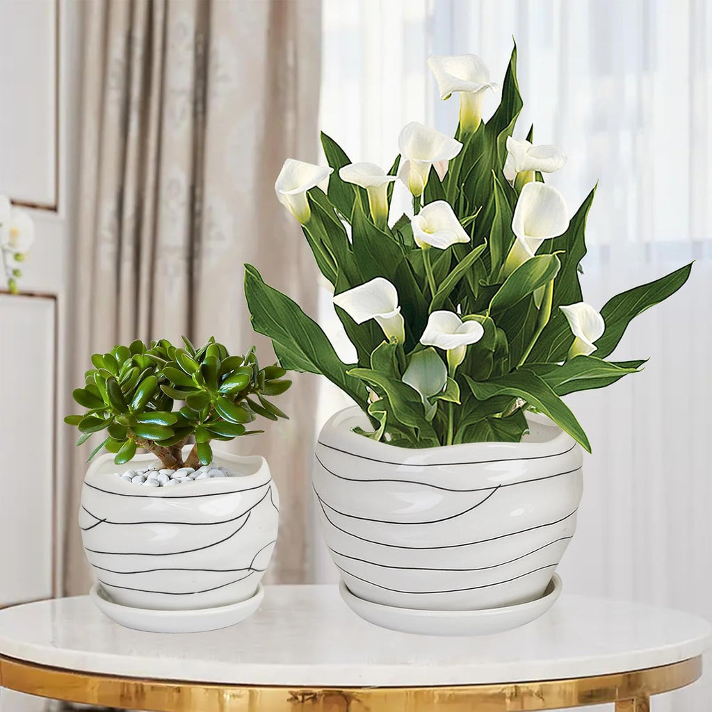Ceramic Planter Set, 3 Sizes, Indoor Outdoor with Drainage Hole and Saucer T419377